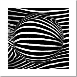 Zebra Animal Print Safari Posters and Art